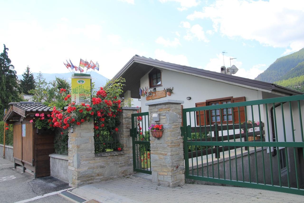 B&B Edelweiss Улькс Экстерьер фото