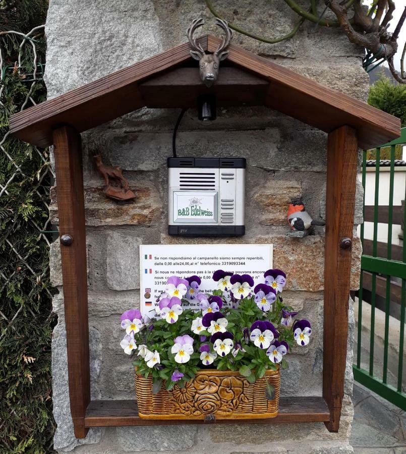 B&B Edelweiss Улькс Номер фото
